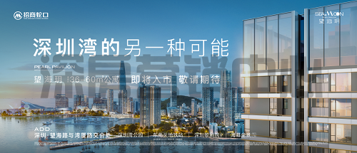 招商望海玥